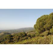 1. Estribación meridional de la Sierra de Córdoba