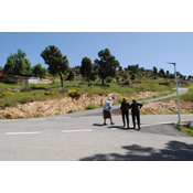 27. Camino de subida al mirador desde la ronda de circunvalación