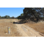 7. Camino Real de Pozoblanco. Cañada Real Soriana. Camino Mozárabe