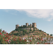 Panorámica del castillo