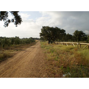 Monte de Las Pinedas