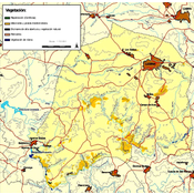 Distribución de la vegetación en el término municipal