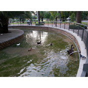 Estanque de los Patos. Jardines de la Agricultura