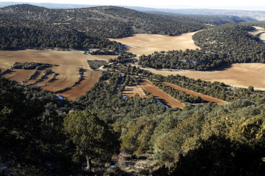 Panorámica del bosque de sabinas, encinas y carrascas, alterado por los trabajos agrícicolas, desde “El Balconcillo”, mirador natural junto a la localidad de Labros (Guadalajara), en la Red Natura 2000. EFE/Juanjo Guillén