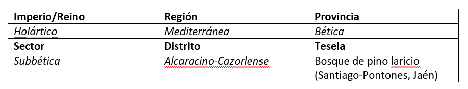 cuadro 2