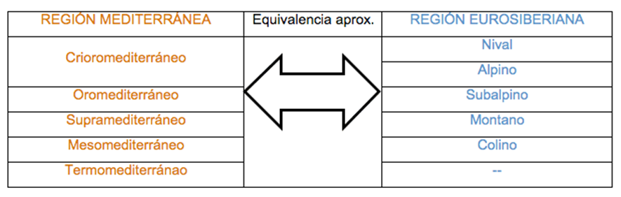 Figura 10.1